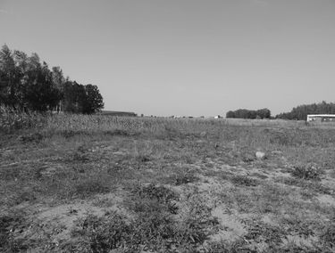 Zdjęcie 15493386