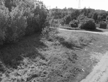 Zdjęcie 15493581