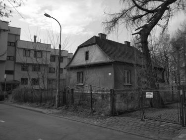 Zdjęcie 15494341
