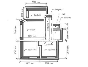 Zdjęcie 15494846