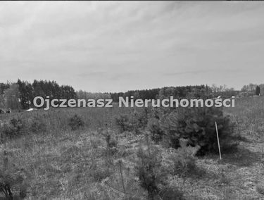 Zdjęcie 15495159