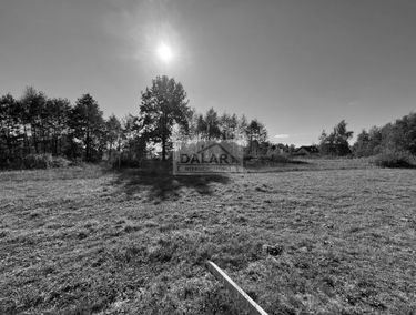 Zdjęcie 15496617