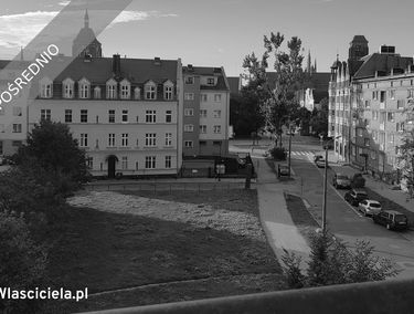 Zdjęcie 15499224