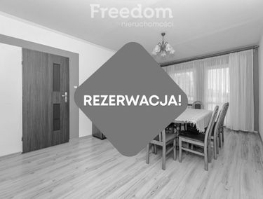 Zdjęcie 15500083