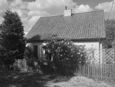 Zdjęcie 15500606