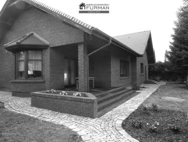 Zdjęcie 15500784