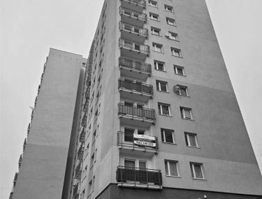 Zdjęcie 15501310