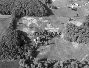 Zdjęcie 15501311