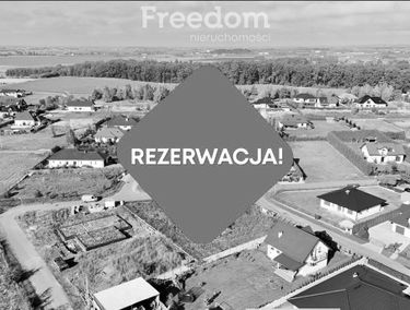 Zdjęcie 15501349