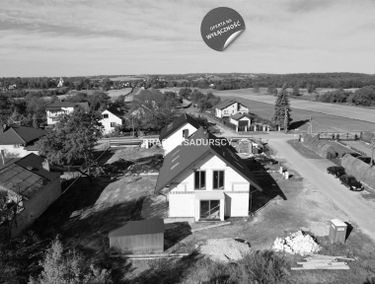 Zdjęcie 15501826
