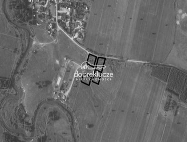 Zdjęcie 15502035
