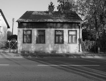 Zdjęcie 15502164
