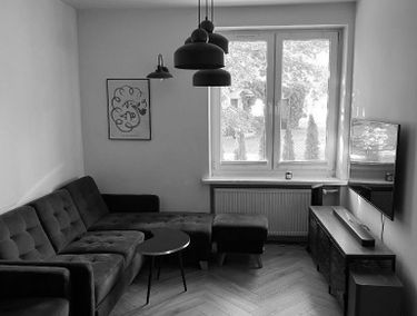 Zdjęcie 15503203