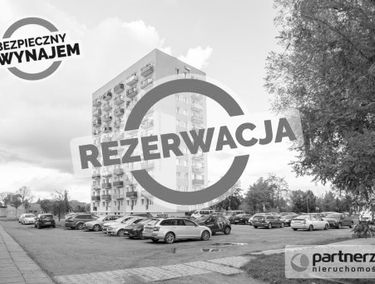Zdjęcie 15503278