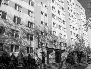 Zdjęcie 15504439