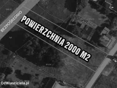 Zdjęcie 15504494