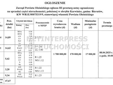 Zdjęcie 15504795