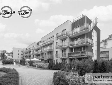 Zdjęcie 15504995