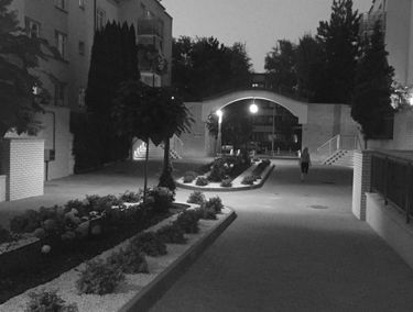 Zdjęcie 15505145