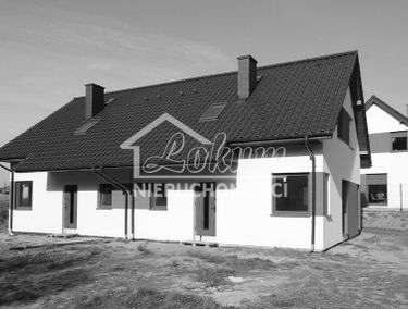 Zdjęcie 15505282