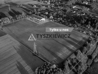 Zdjęcie 15505371