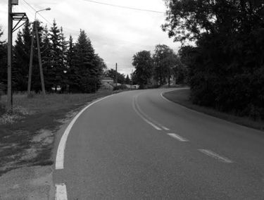 Zdjęcie 15505635