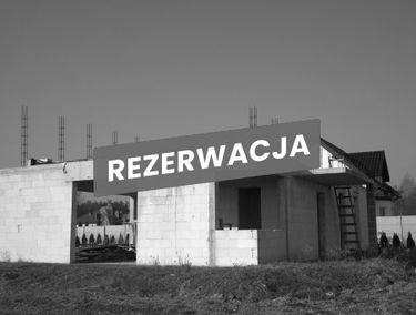 Zdjęcie 15505645