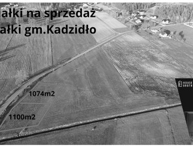 Zdjęcie 15505895