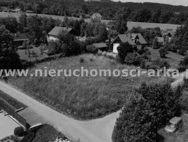 Zdjęcie 15506000