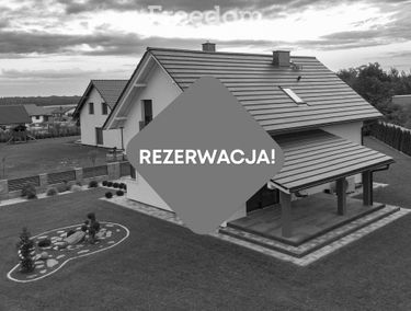 Zdjęcie 15506087