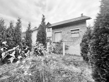 Zdjęcie 15507050
