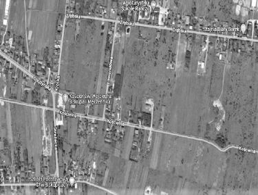 Zdjęcie 15507702