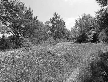 Zdjęcie 15507715