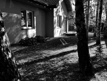 Zdjęcie 15507730