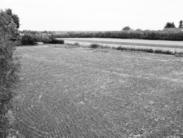 Zdjęcie 15508039