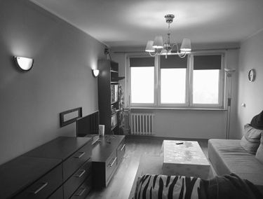 Zdjęcie 15508091