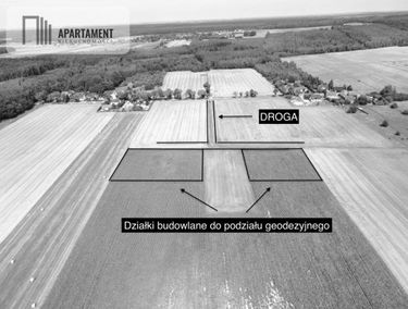 Zdjęcie 15508487