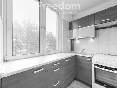 Zdjęcie 15508601