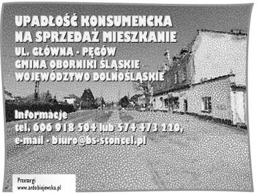 Zdjęcie 15508834