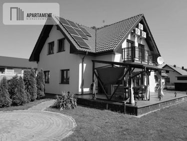 Zdjęcie 15509092
