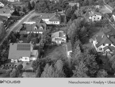 Zdjęcie 15509507