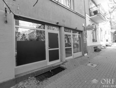 Zdjęcie 15510407