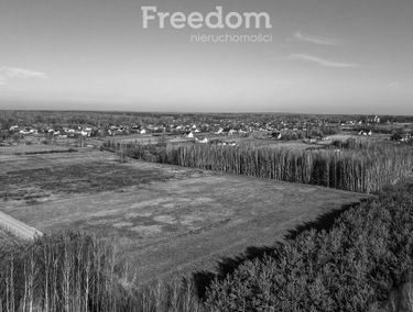 Zdjęcie 15510441