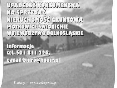 Zdjęcie 15510980