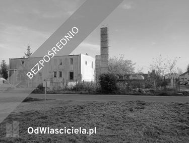 Zdjęcie 15512071