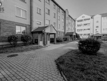 Zdjęcie 15514160