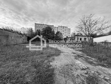 Zdjęcie 15514240