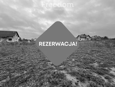 Zdjęcie 15514262
