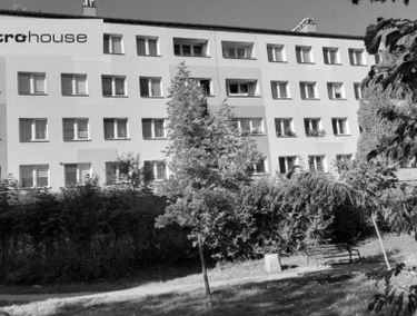Zdjęcie 15514617