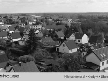 Zdjęcie 15514860
